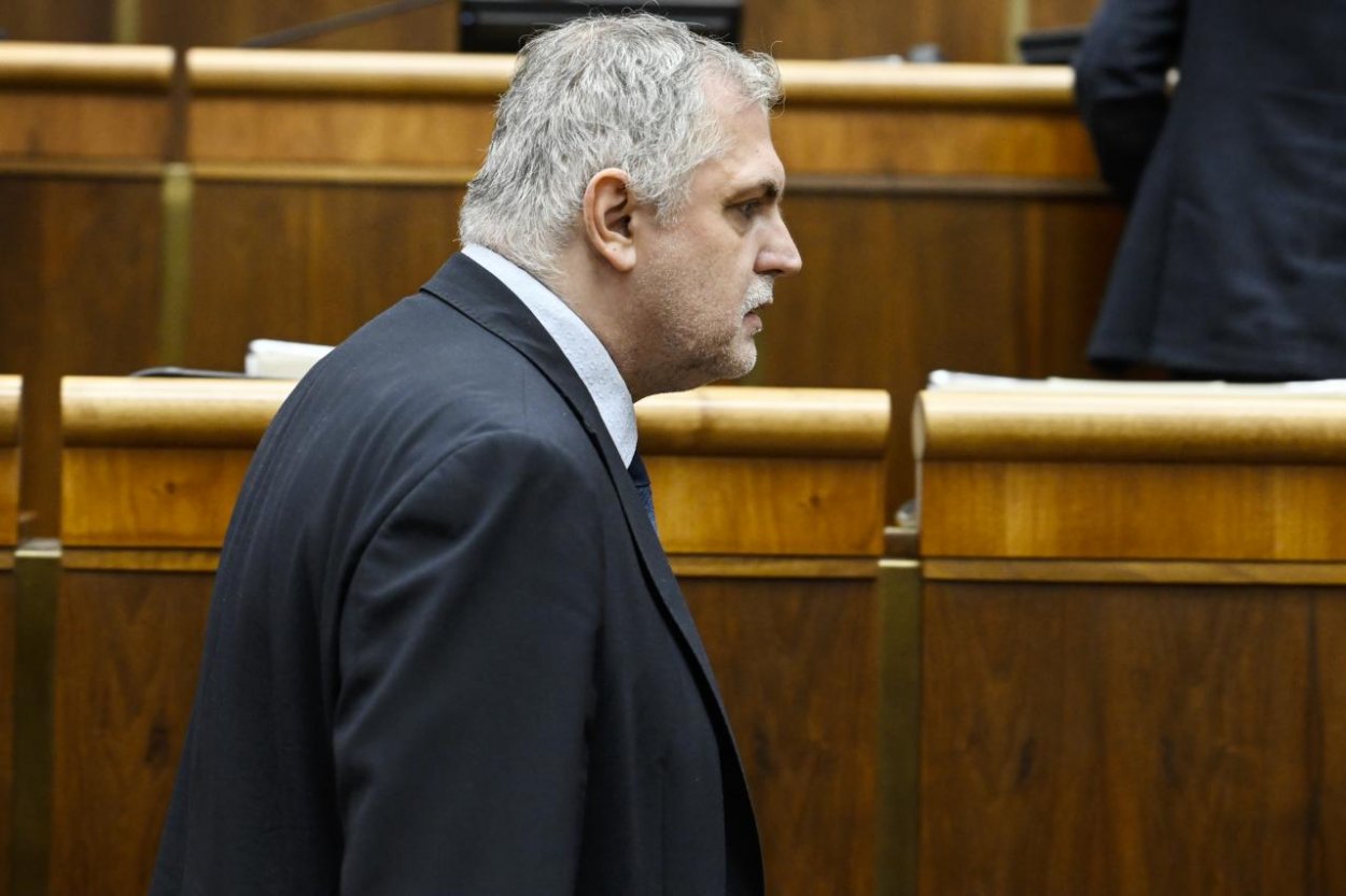 Michelko: Ak bude mať SNS pred voľbami v prieskumoch pod päť percent, spojí sa so Smerom