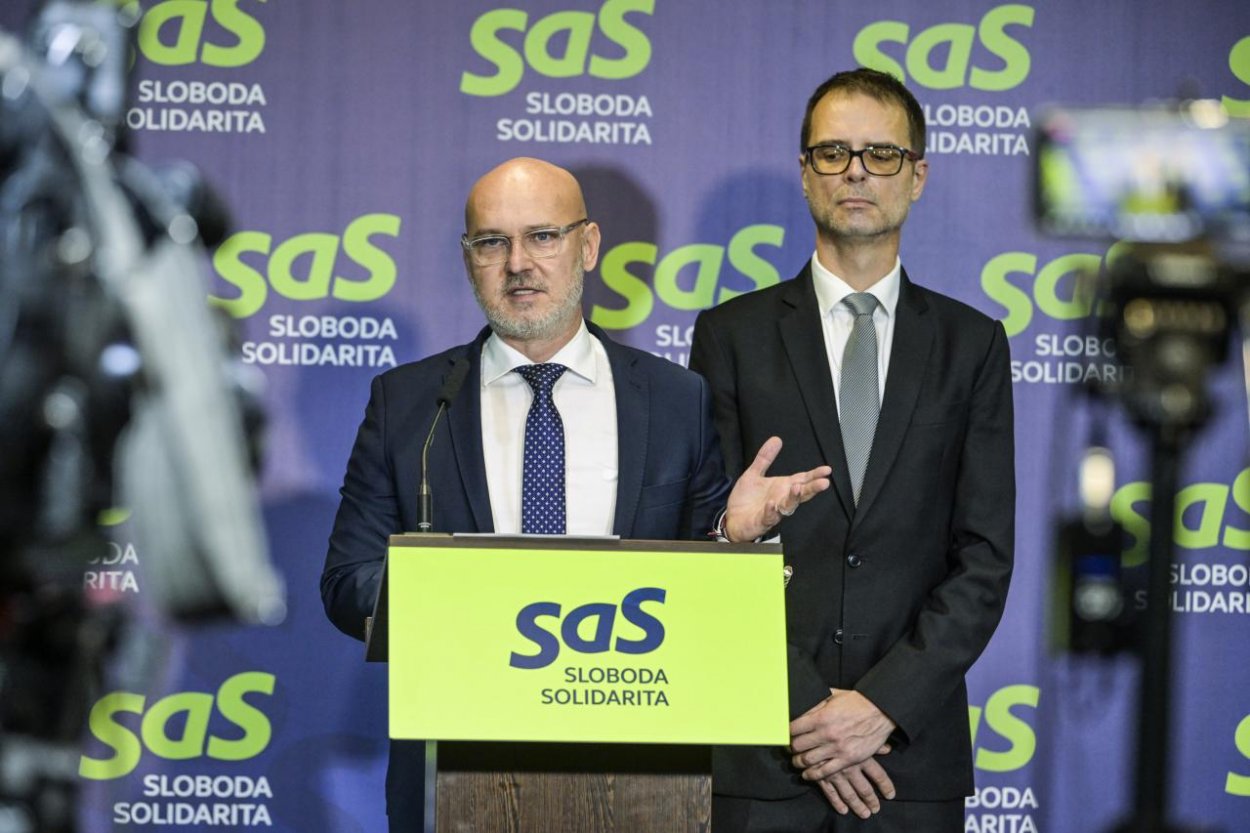 Gröhling avizuje v tomto roku vstup výrazných osobností do SaS