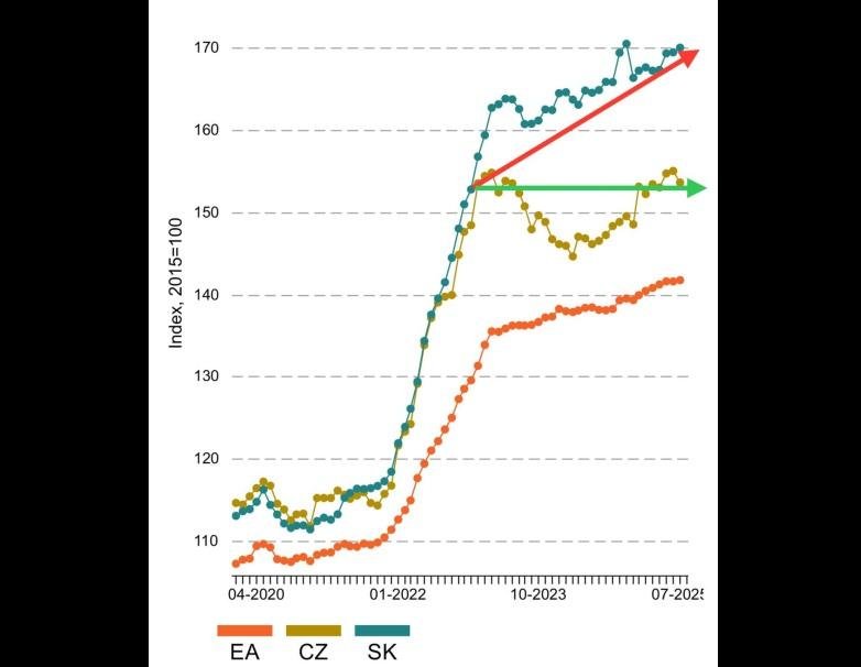 Dáta bez pátosu: O koľko zdraželi potraviny na Slovensku?