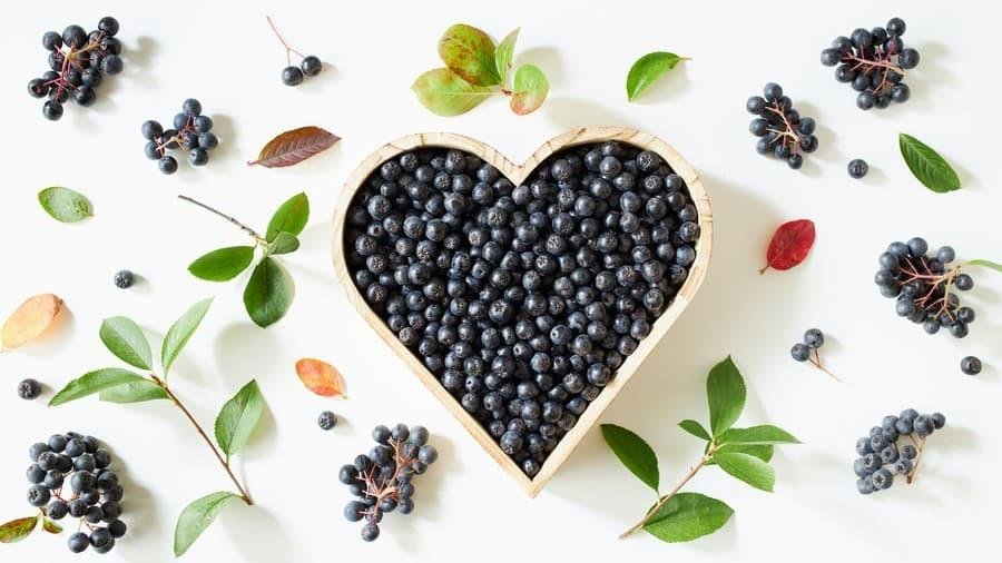 Objavte silu arónie – prírodného zázraku, ktorý vaša imunita ocení!