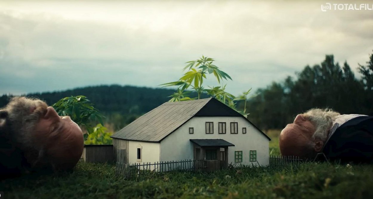 Raději zešílet v divočině: Keď samota nie je útek, ale voľba