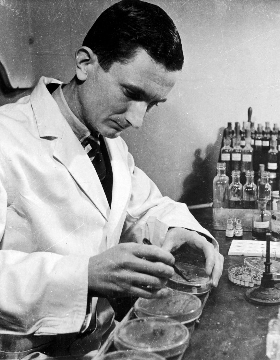 Od vedeckej kuriozity k lieku