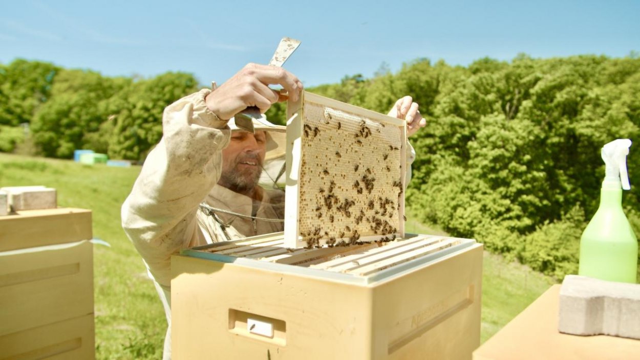Marius Pedersen prináša život na skládky a podporuje ochranu včiel