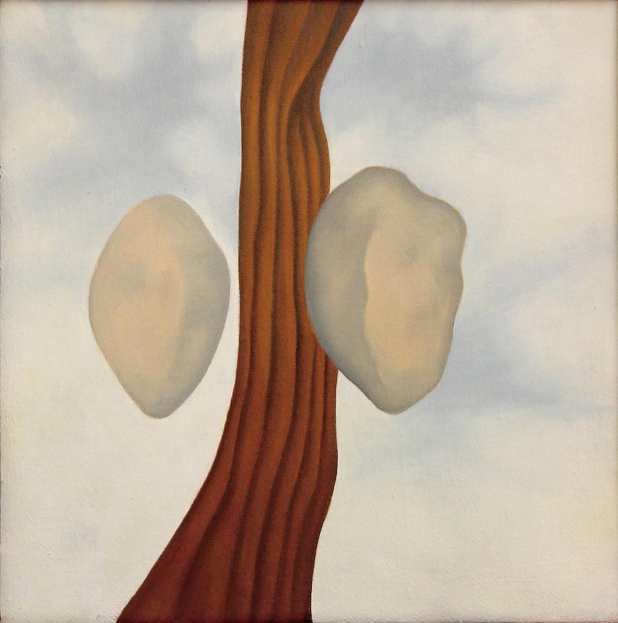 V imaginárnom svete