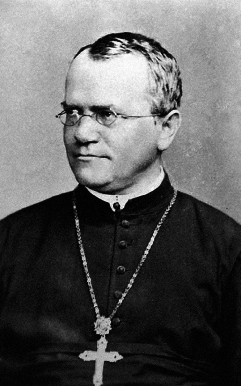 Juraj Petrovič: Od hrachu k nesmrteľnosti