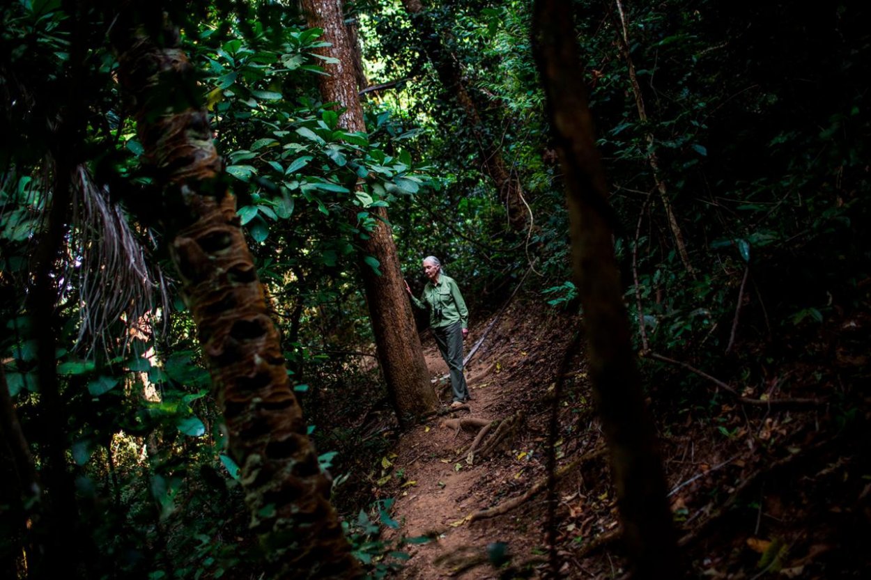 Žena, ktorá žila svoj sen