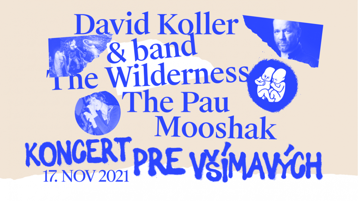 David Koller & Band, The Pau, The Wilderness a Mooshak vystúpia už túto stredu na Koncerte pre všímavých