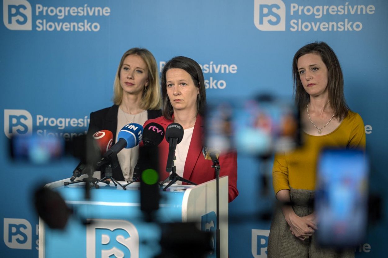 PS v septembri predloží viaceré návrhy, chce zabrániť násiliu na ženách