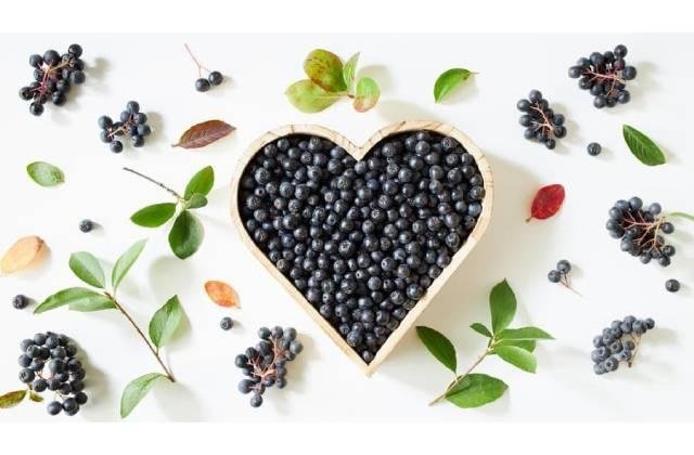 Kráľovná antioxidantov, ktorá zaujala aj vedcov: „Prečo je slovenská arónia  číslo 1 na vašu imunitu?!“