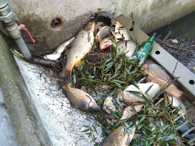 Pri poškodení skladovacieho vaku uniklo z bioplynovej stanice v Budči 500 metrov kubických digestátu