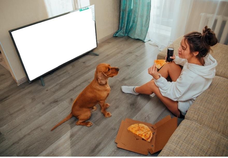 Seriálové a filmové tipy: Elon Musk, švédska kriminálna celebrita aj špionáž