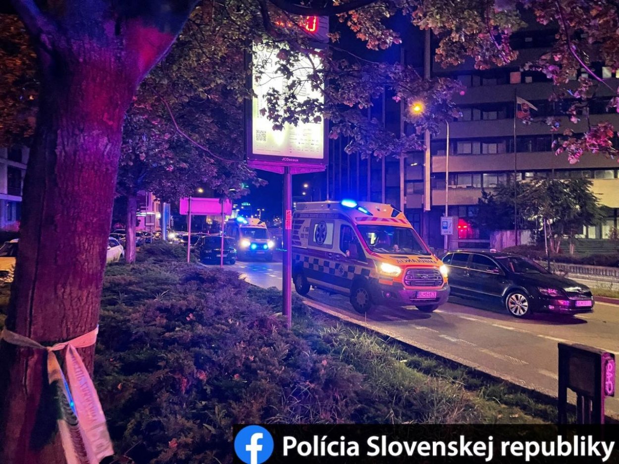 Pri tragédií za volantom údajne sedel generálny sekretár deaflympijského výboru Dušan Dědeček