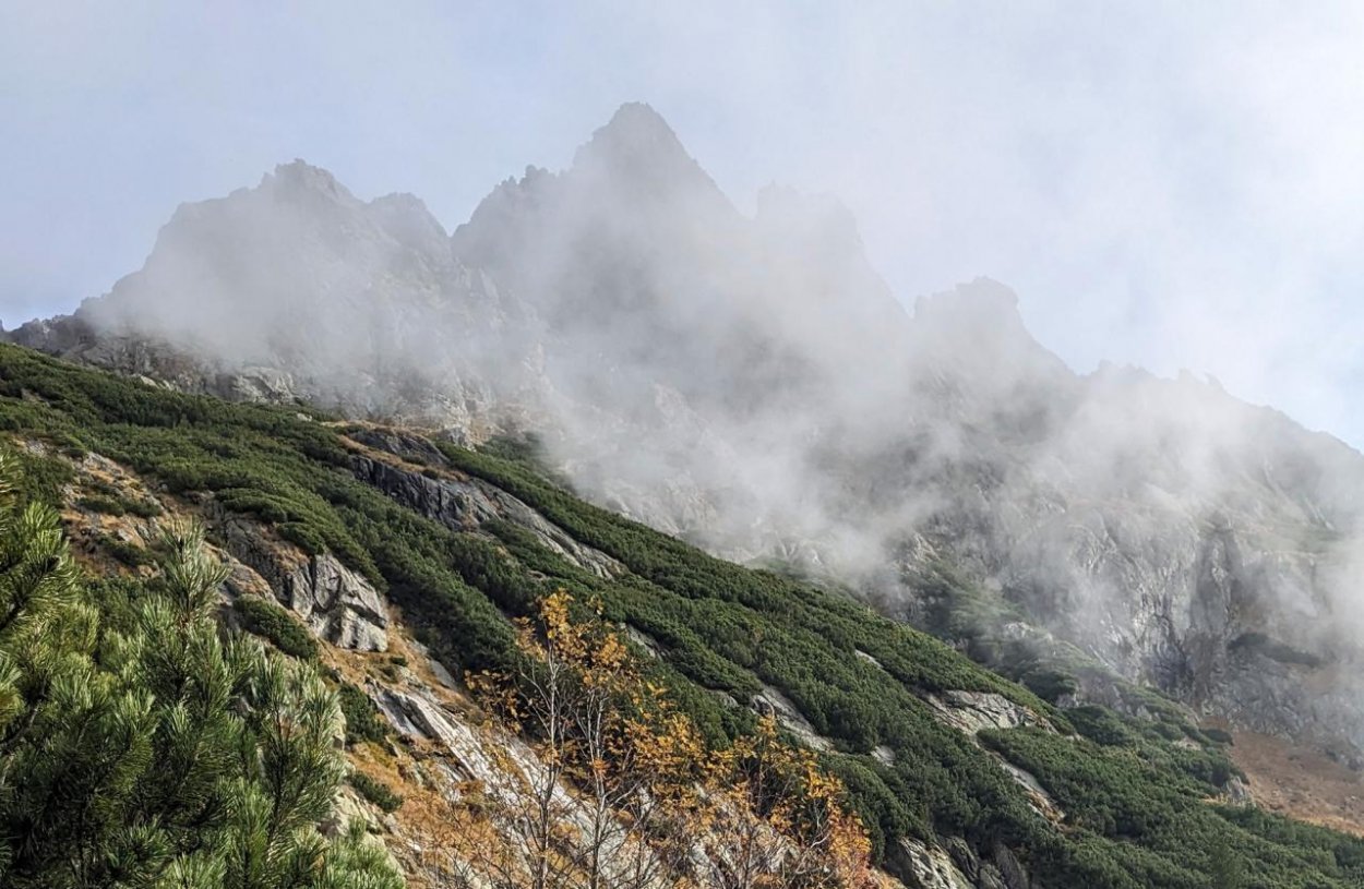 Ukrajinské deti vytrhli na pár dní z vojnového prostredia, snívajú len o mieri
