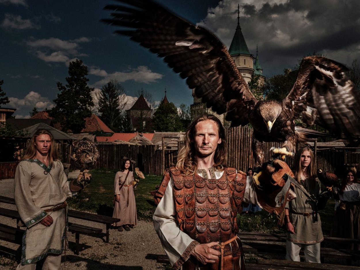 Dravec sa vracia. Reportáž o živote sokoliarov na Slovensku