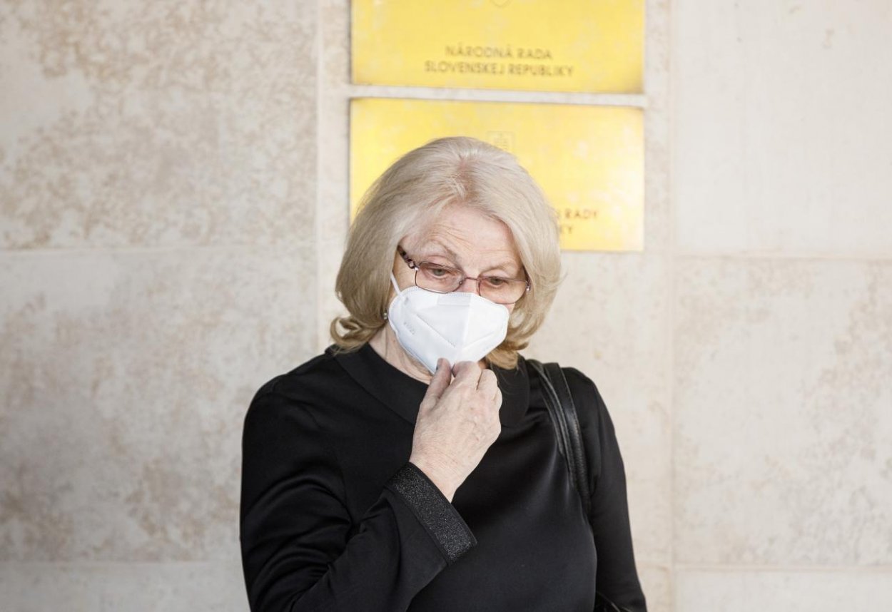 Kauza sociálne podniky či plytvanie. Prečo by Tomanová mala skončiť ako detská ombudsmanka