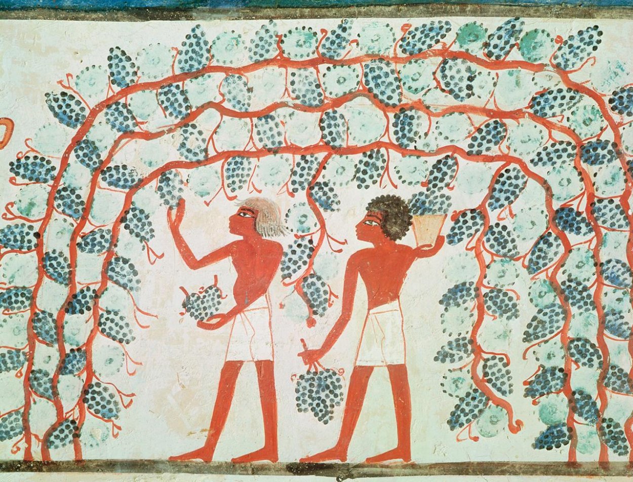 Seriál o histórii vína. Vinice pre boha Amona