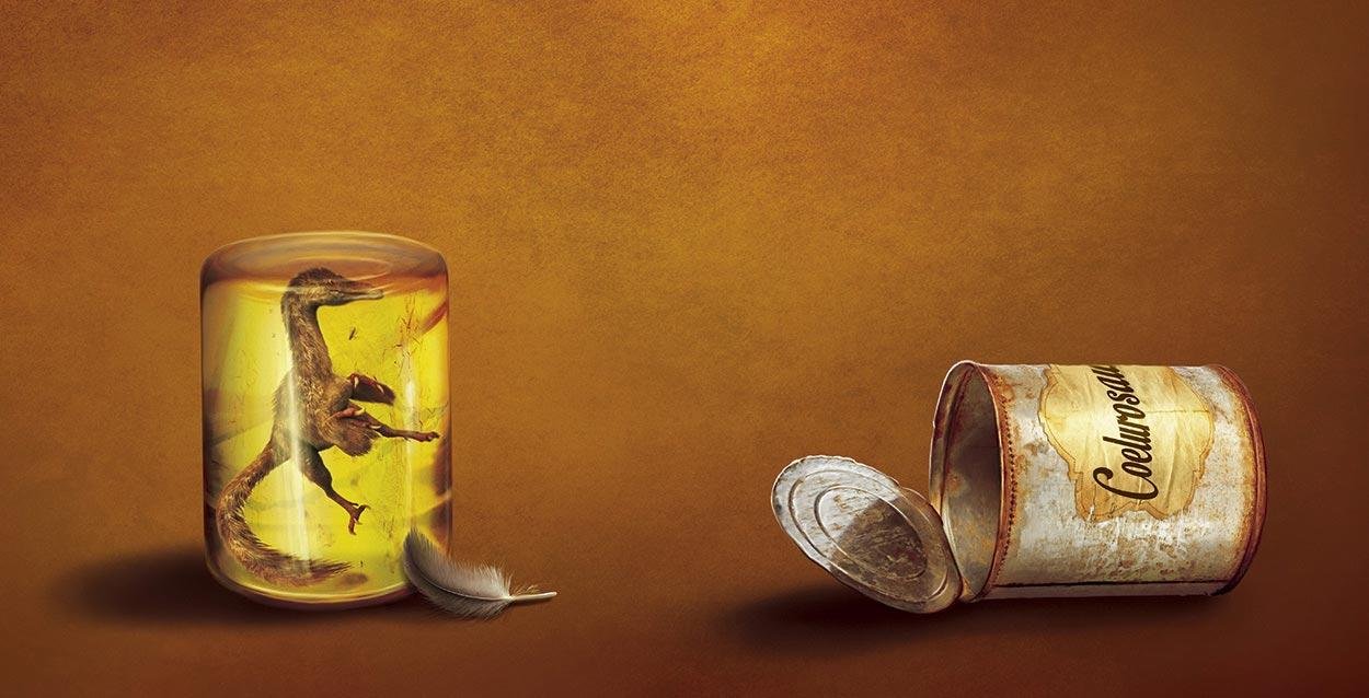 Jantárové konzervy