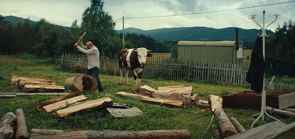 Hlavnú cenu Medzinárodného filmového festivalu v Karlových Varoch získal dokumentárny film slovenského režiséra Mira Rema