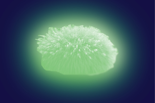 V Liptovskom Mikuláši sa predstaví najrešpektovanejšia ukrajinská spisovateľka Oksana Zabužko