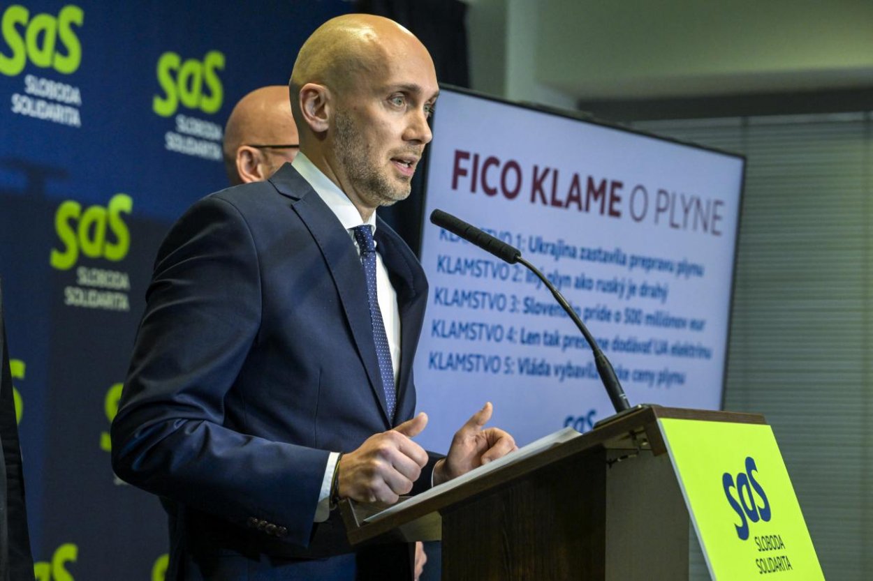 SaS navrhuje stiahnutie energetických zákonov z parlamentu, vraj sa pripravuje utajovaný miliardový biznis