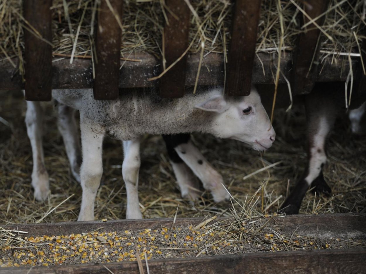 Kultúra: Slovensko sa uchádza o ďalší zápis do zoznamu UNESCO