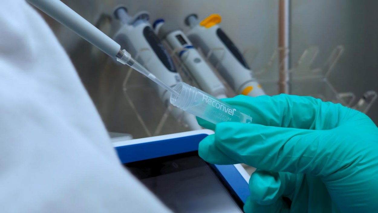 Nízkomolekulové prírodné extrakty s obsahom peptidov ukazujú nádej v boji proti rakovine