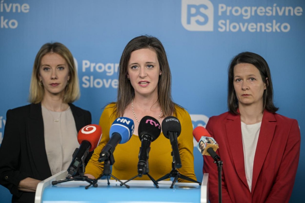 Europoslankyňa Ľ. Karvašová kritizuje postup vlády po škodách v Gelnici