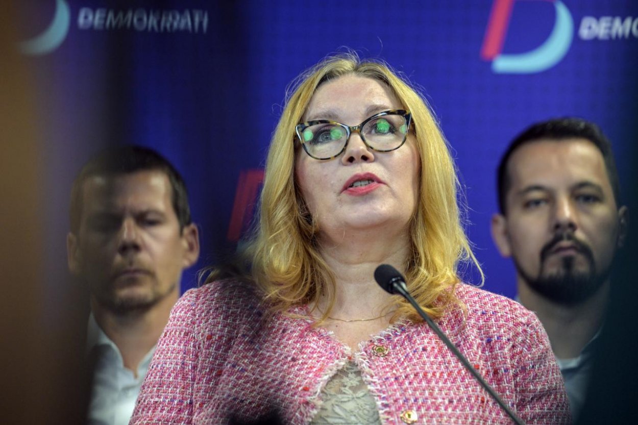 Slovensko má vážny problém s rozkrádaním agrodotácií, Šubová na to upozornila priamo v europarlamente