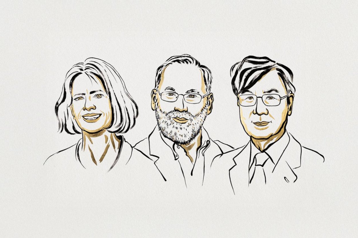 Nobelov výbor zase posunul do reflektorov imunológiu – prečo?