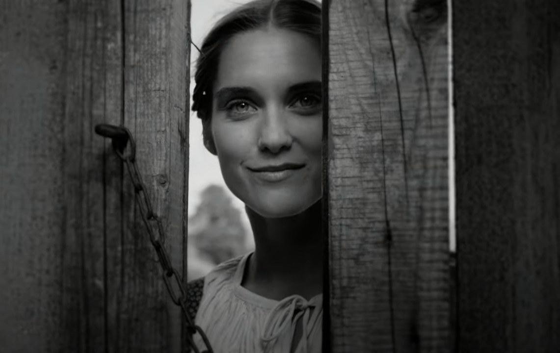 Piargy získali najviac nominácií na filmovú cenu Slnko v sieti