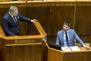 Slavomíra Henčeková: Bratia, sestry a matky