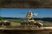 Nie je včela ako včela