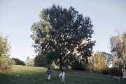 Filmy .týždňa: Dve slovenské romance a odolné zlo z labáku