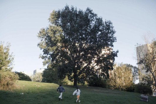 Filmy .týždňa: Dve slovenské romance a odolné zlo z labáku