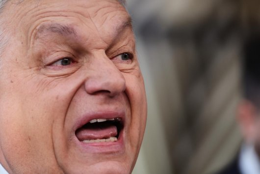 Chaos v Orbánovom záujme. Príliš veľa pozorovateľov maďarských volieb