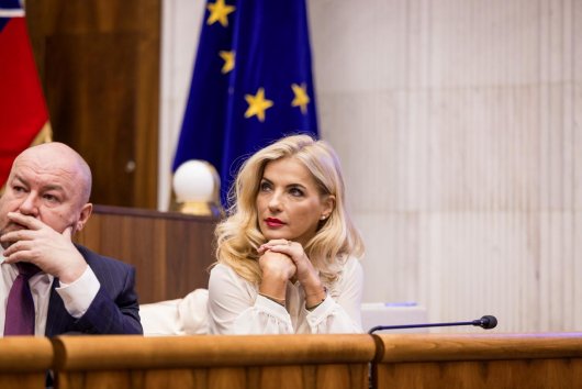 Pani ministerka, poďme sa porozprávať o Beethovenovi