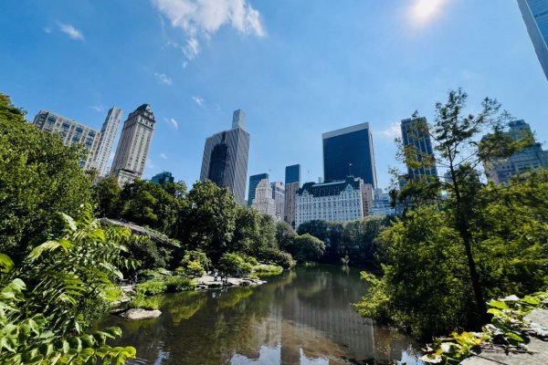 New York mobilom Štefana Hríba