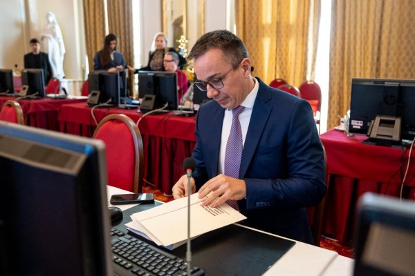 SaS kritizuje ministra práce za opatrenia k náhradnej starostlivosti