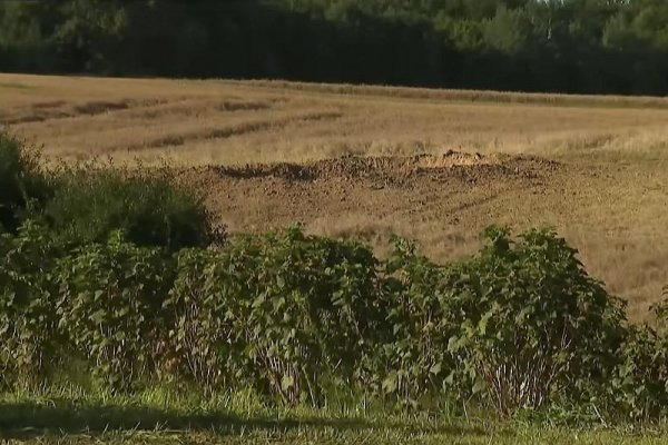 Litva kritizovala reakciu NATO na dopadnutie ruskej rakety v Poľsku