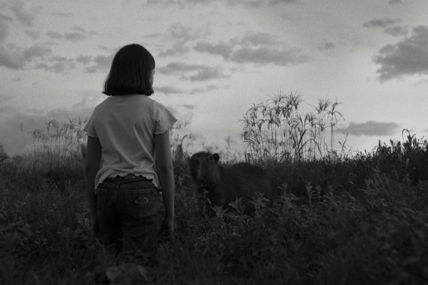 Správa: Film o dievčati, ktoré hovorí so zvieratami, aj o dospelých, ktorí z toho žijú 