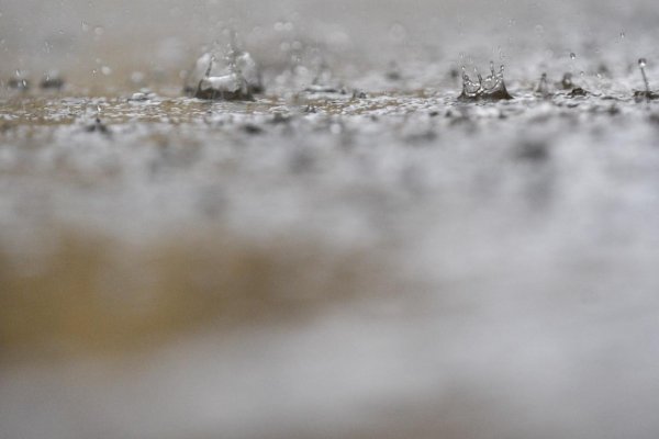 Na západe Slovenska je bez elektrickej energie približne 6000 odberných miest