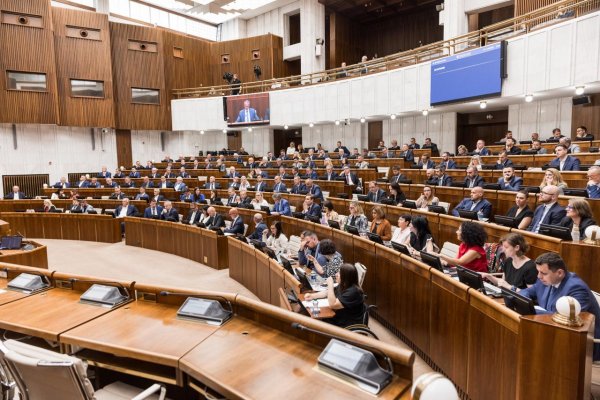 Delegácia z Bruselu: Niektoré reformy, ktoré presadzuje vláda, ohrozujú demokratické princípy na Slovensku