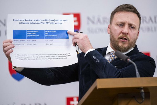 Aj normalizátori dezinformovali