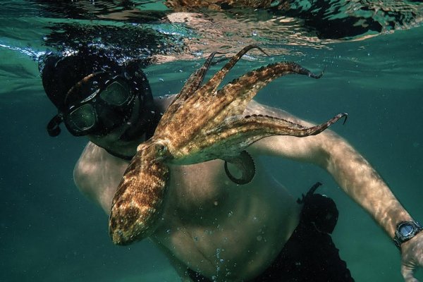 Môj učiteľ ChatGPT