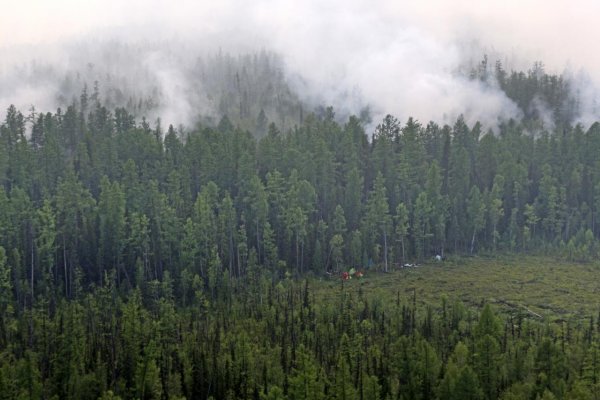 Sibír v plameňoch: Mohutné lesné požiare urýchlia topenie Arktídy a posilnia globálne oteplovanie
