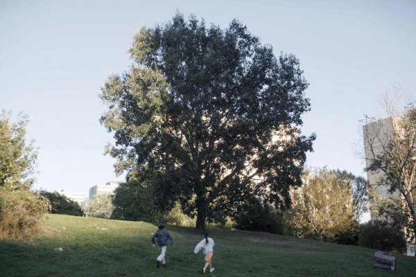 Filmy .týždňa: Dve slovenské romance a odolné zlo z labáku