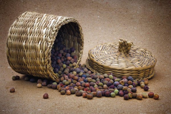 Dobré jedlo: Zachránený hrach