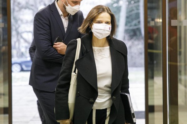 Sankcia prepadnutia majetku Ladislava Bašternáka musí byť dôsledne vymožená, hovorí Kolíková