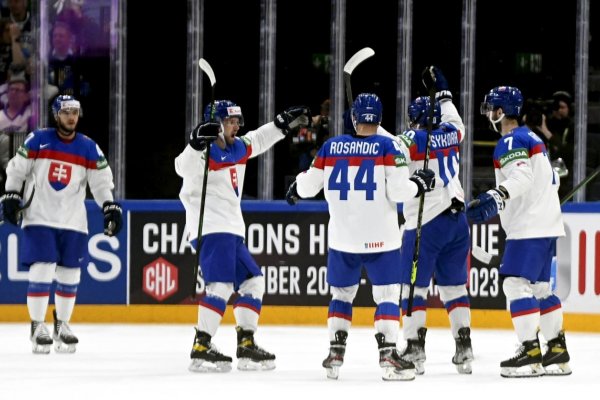 Aspoň v hokeji máme zarobené do budúcnosti