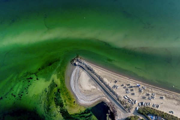 OSN prijala prvú dohodu o ochrane otvoreného mora